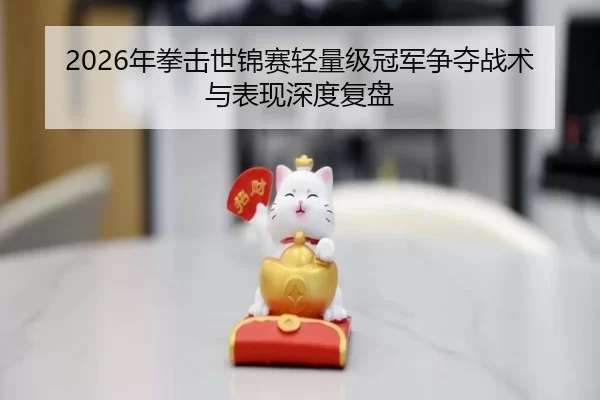 2026年拳击世锦赛轻量级冠军争夺战术与表现深度复盘
